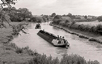 Narrowboats carrying coal - 1960s