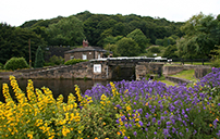 Floral Display - Calder & Hebble Canal