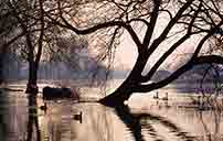 Laleham