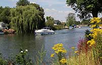 Walton on Thames