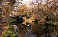 Basingstoke Canal